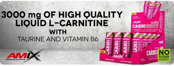 SPALACZ TŁUSZCZU KARNITYNA Mocna Formuła w płynie L carnitine 3000 SHOT X20
