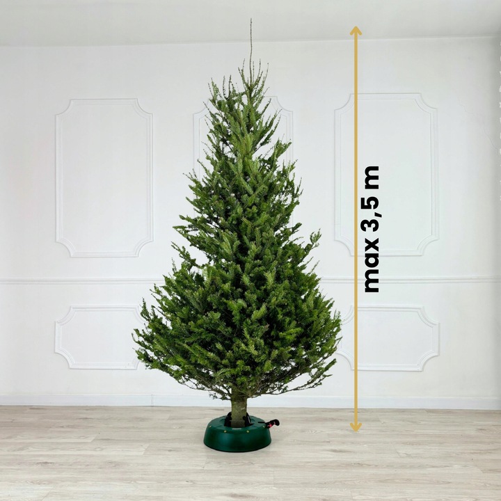 STOJAK CHOINKOWY SAMOZACISKOWY PODSTAWKA NA ŻYWĄ CHOINKĘ, WYSOKOŚĆ DO 3,5 M