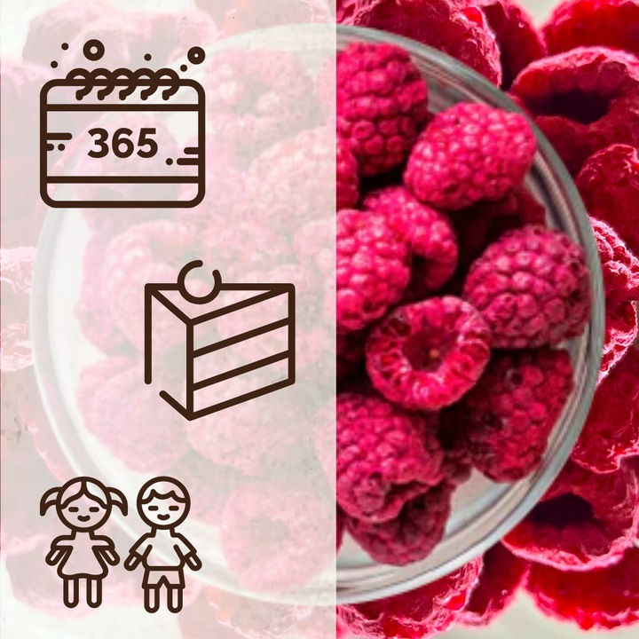 MALINA LIOFILIZOWANA 100g MALINY KLASA A nutt