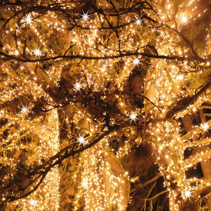 LAMPKI CHOINKOWE 1000 LED ZEWNĘTRZNE KURTYNA ŚWIETLNA IP44 BIAŁE FLASH