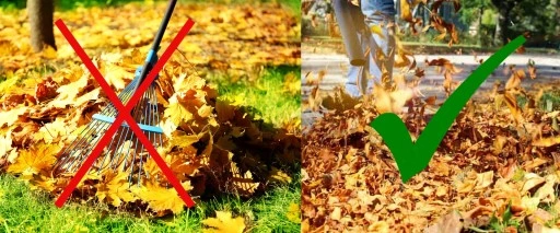 Dmuchawa do liści spalinowa odkurzacz liści DEMON