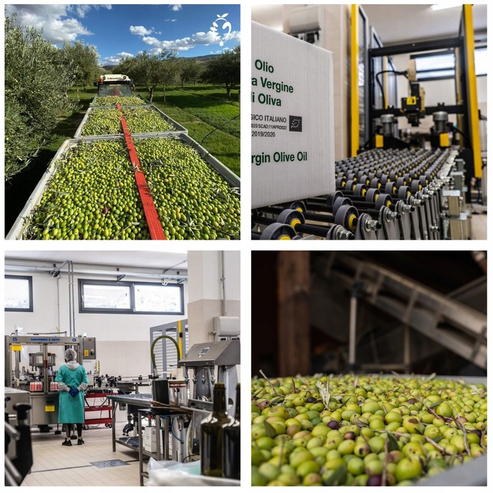 Włoska oliwa extra vergine z Sycylii 1L|Olio Mio ŚWIEŻY ZBIÓR 10-11.2024