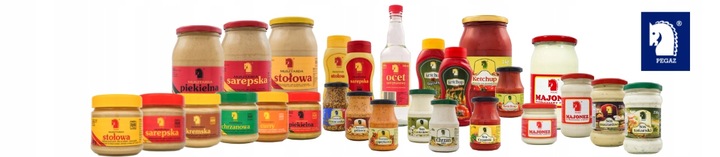 Ocet 10l kanister baniak PEGAZ