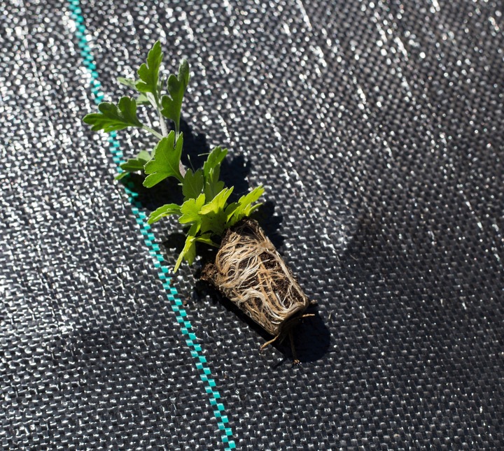 AGROTKANINA 110G 3,2x50m PREMIUM UV 3% AGROWŁÓKNINA CZARNA MATA + KOŁKI