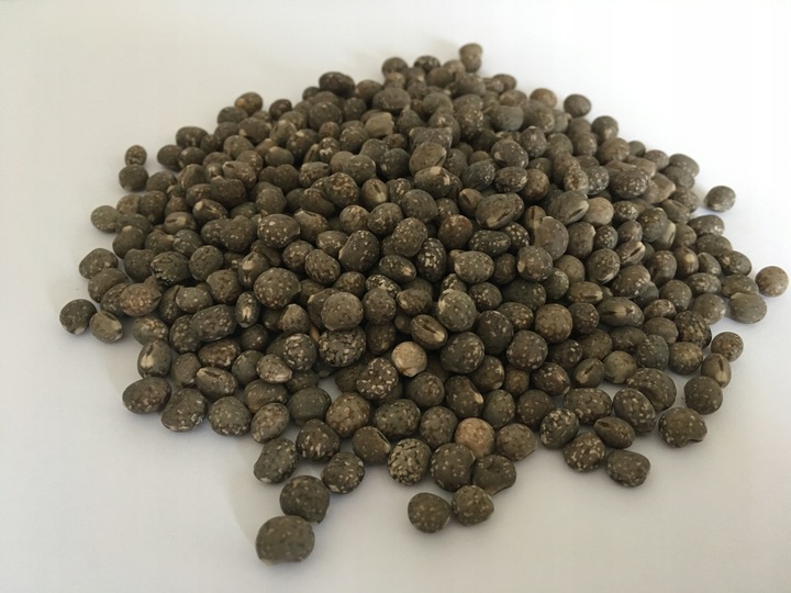 Pasza karma ziarna dla kur niosek bez GMO susz marchew pokrzywa NATURALNA