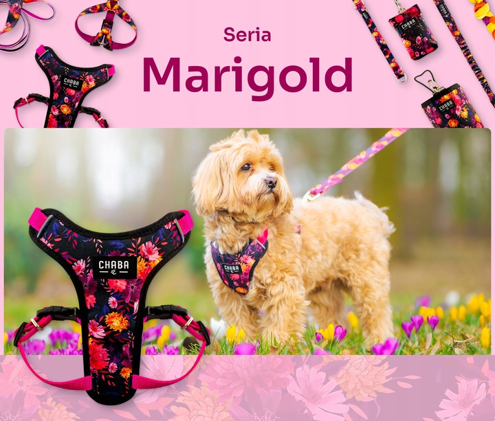 Szelki spacerowe Comfort Guard dla małego psa - Chaba Marigold rozmiar M