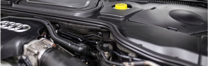 ADBL Zestaw Do Czyszczenia Plastików Interior Cleaner Dressing Interior WOW