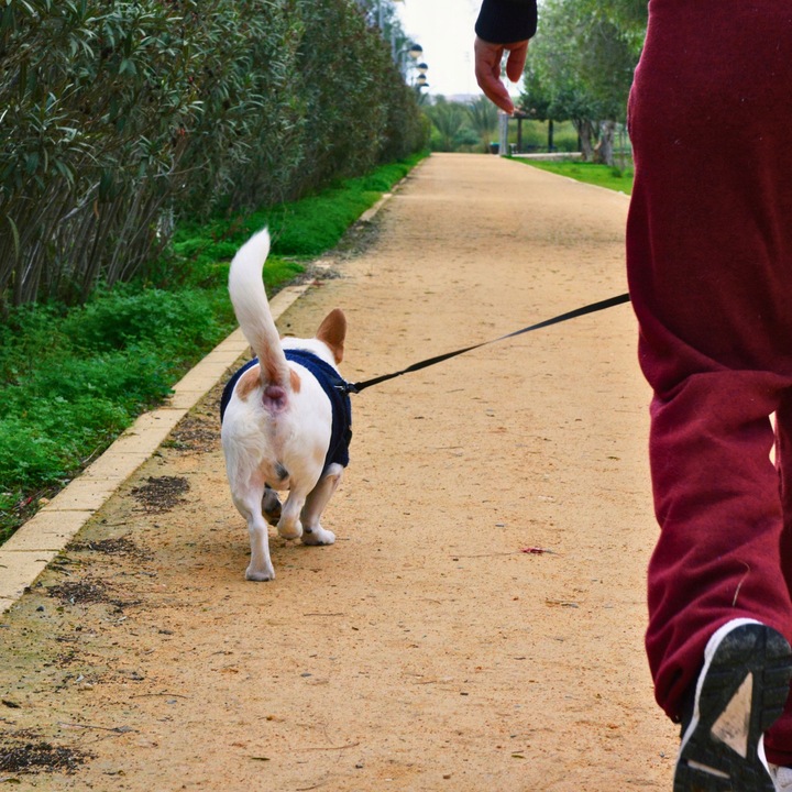 WORECZKI NA PSIE ODCHODY BIODEGRADOWALNE WORKI NA KUPY BIO + ETUI 765 sztuk
