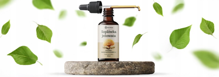 SOPLÓWKA JEŻOWATA KROPLE EKSTRAKT ADAPTOGENY Suplement lion's mane 50 ml