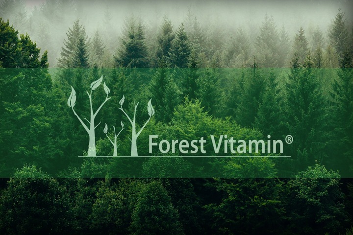 PURE CREATINE 500g KREATYNA MONOHYDRAT SIŁA MASA