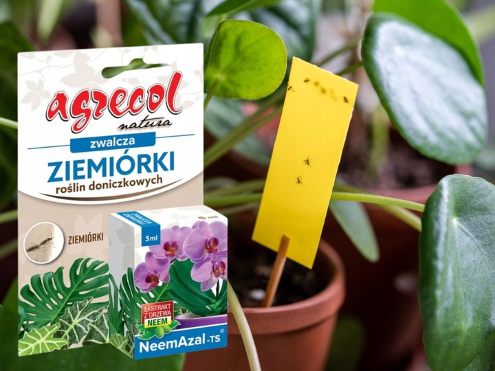 NEEMAZAL TS Owadobójczy 3ml + Żółte lepy 12szt. na Ziemiórki Mszyce