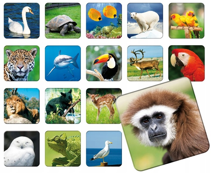 GRA MEMORY MEMO ZWIERZAKI gra pamięciowa ze zwierzątkami dla dzieci +3 lata