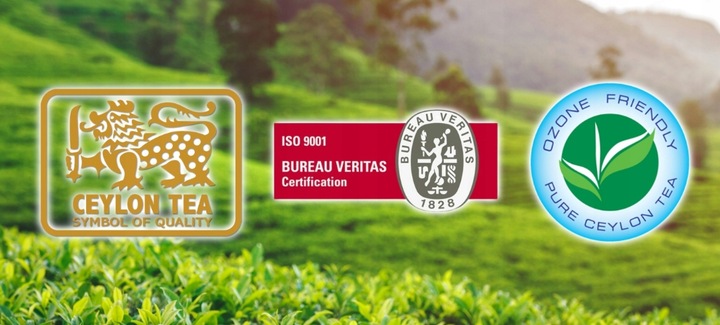 Herbata zielona Basilur Sencha Classics Ceylon - 100 x 1,5 g