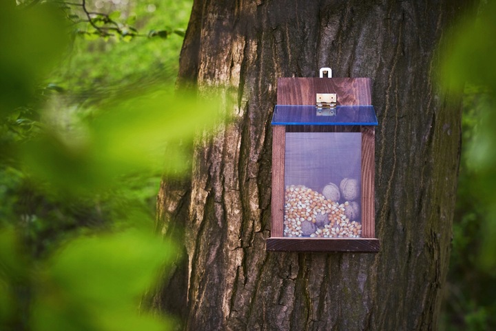 Orzechowa spiżarka, karmnik dla wiewiórek