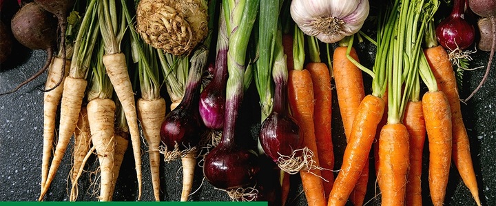 ROSAHUMUS 1kg nawóz organiczny kwasy humusowe POTAS POPRAWIA JAKOŚĆ GLEBY