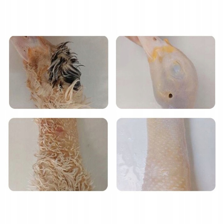 PROFESJONALNA SKUBACZKA DO PIERZA DROBIU KUR KURCZAKÓW PIÓR KACZEK