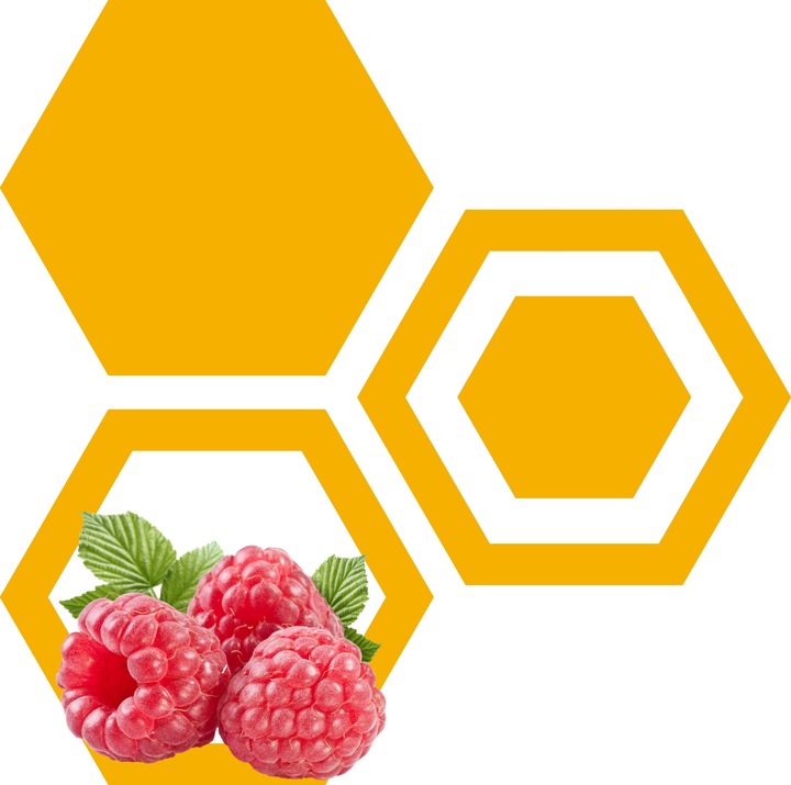 MIÓD SPADŹ IGLASTA 1.2 kg - DUŻY SŁÓJ