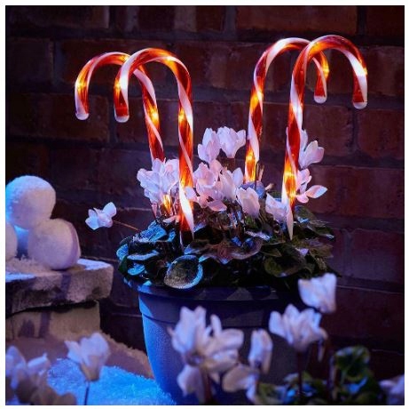 LAMPKI LED CUKIERKI LIZAKI 6SZT LED LASKA MIKOŁAJA 70CM CHOINKA SOLARNE