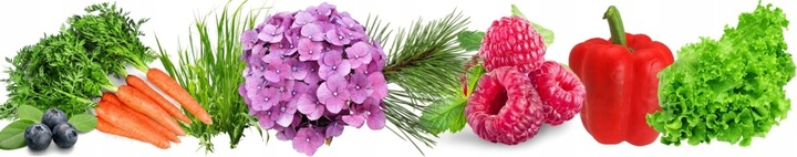 Wióry Rogowe Nawóz Z Rogów I Kopyt 5kg Bydlęcych Mączka Wióry Rogi Kopyta