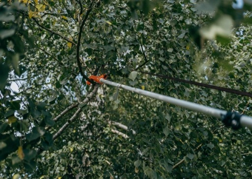 Piła teleskopowa z SEKATOREM do cięcia drzewa i gałęzi 3,75m KT-V1521-375