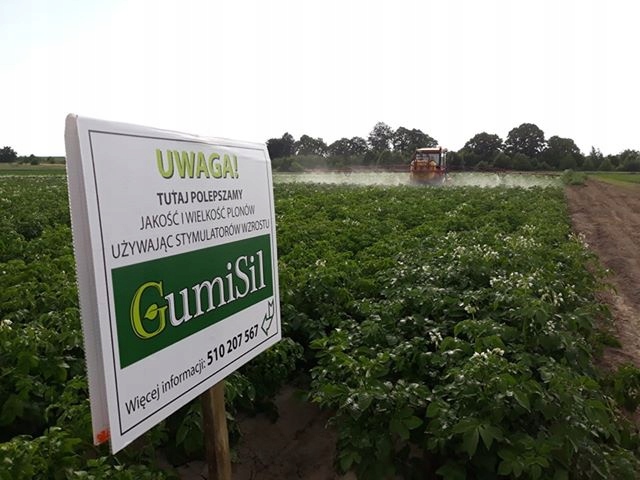 STYMULATOR DO WARZYW GUMISIL TRICHODERMA ROZSADY! EKO NAWÓZ BIOLOGICZNY TOP