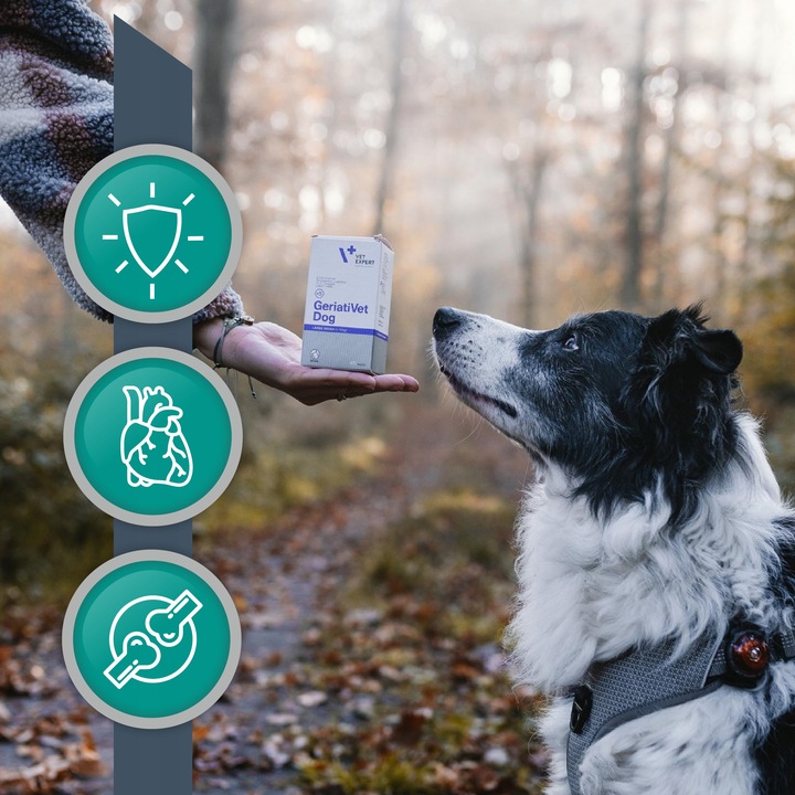 Preparat witaminy dla starszych psów Vet Expert Geriativet Dog 45 tabletek
