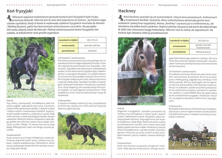 ATLAS KONI RASY OPIEKA ZDROWIE JEŹDZIECTWO ALBUM TWARDA