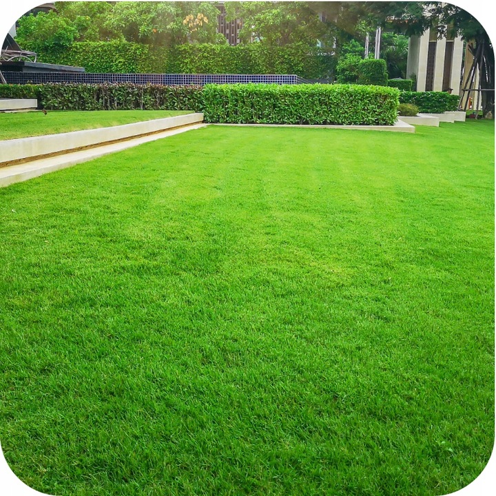 NAWÓZ DO TRAWNIKA do Trawników 5kg BEZCHLORKOWY GRANULOWANY ROSAFERT