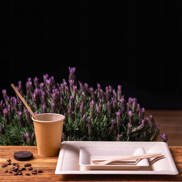 Zestaw z trzciny cukrowej kwadratowy brąz/12 osób