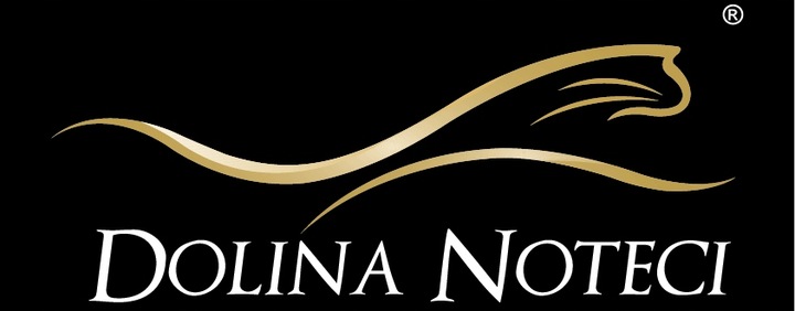 MOKRA KARMA DLA PSA 24 x 400g. RAFI + TUF TUF MIX SMAKÓW 9,6 kg W PUSZCE