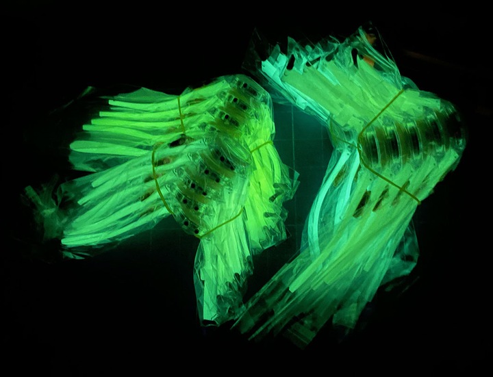 zegarek dziecięcy KAPIBARA dla dziewczynki dzieci ŚWIECĄCY i fosfowyzujący