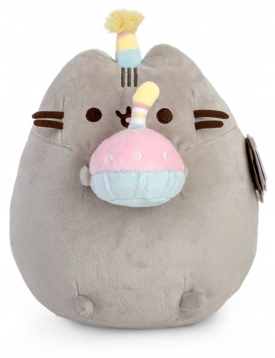 Pusheen z tortem