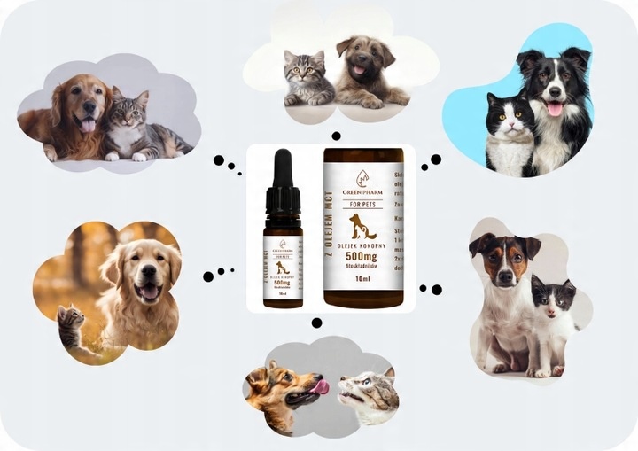 Olejek CBD dla Psa i Kota 5% 500 mg | Weterynaryjny | Bez THC | Bezsmakowy