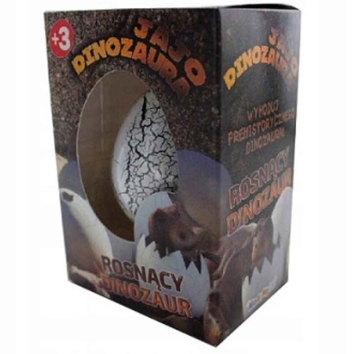 5x JAJO jajko dinozaura wykluwający rosnący DINOZAUR DUŻE NA PREZENT