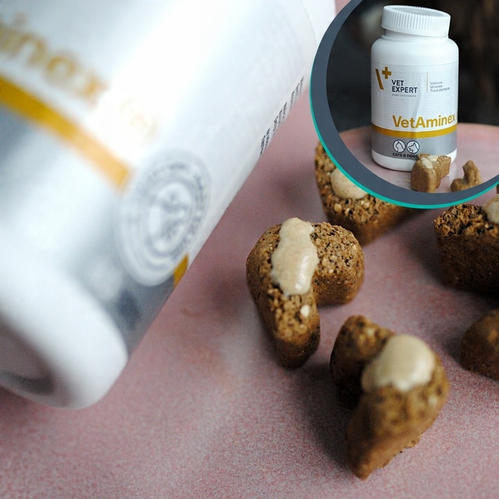 Preparat dla psów i kotów witaminy minerał Vet Expert Vetaminex 60 kapsułek