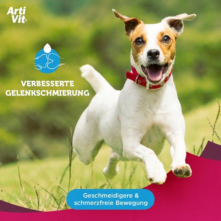 VITAR Veterinae ArtiVit Syrop 200 ml