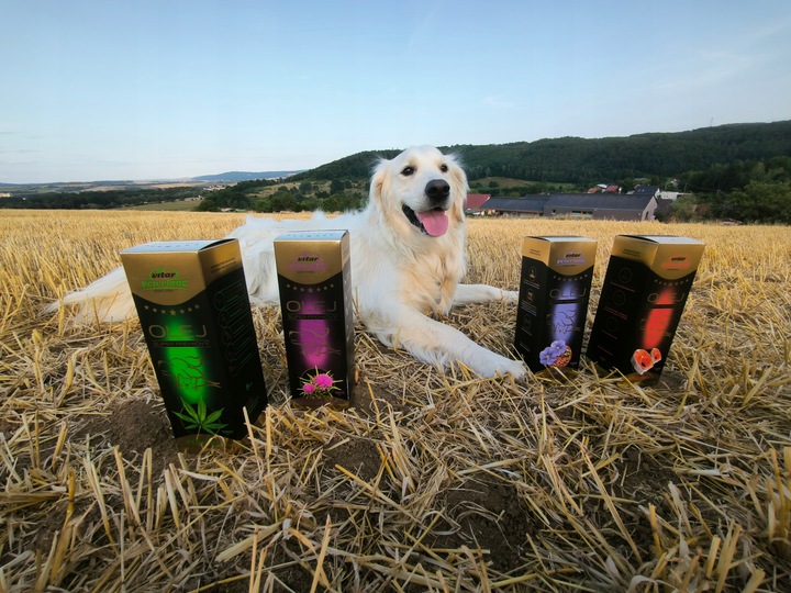 VITAR Veterinae Olej Lniany 1000 ml - lśniąca sierść, doskonałe źródło