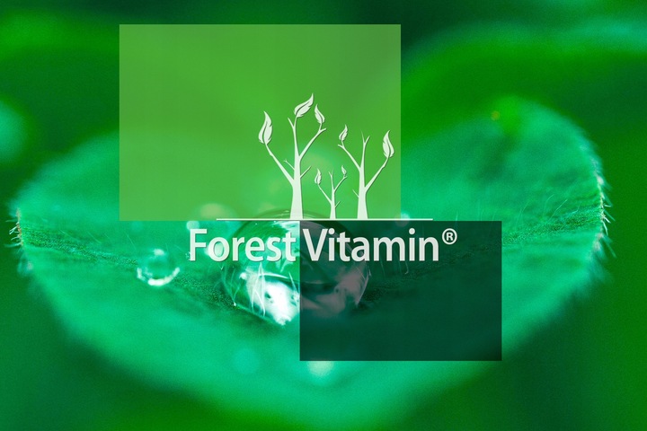 PURE CREATINE 500g KREATYNA MONOHYDRAT SIŁA MASA