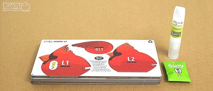 PTAK KARDYNAŁ SZKARŁATNY Układanka 3D EUGY