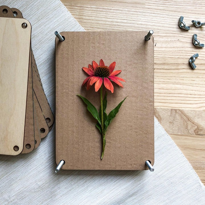 Zielnik Praska botaniczna do suszenia kwiatów ziół liści i roślin 21x15