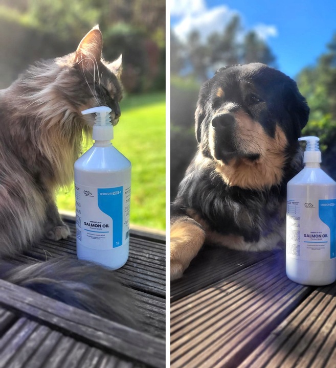 OLEJ SZKOCKI Z ŁOSOSIA DLA PSA I KOTA Salmon Oil Omega 3 Omega 6 1000 ml