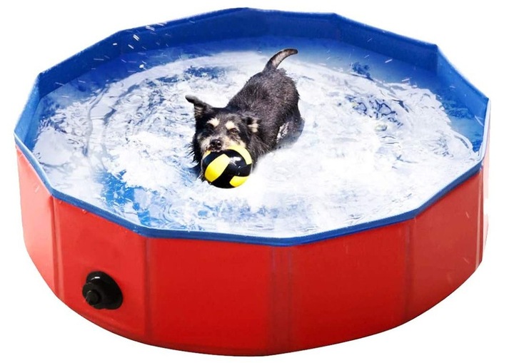 BASEN BRODZIK DLA PSA ZWIERZĄT NA LATO 80 x 30 cm