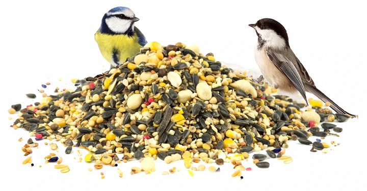 DUŻY KARMNIK DREWNIANY BUDKA NA KARMA KULE ZIARNO DLA DZIKICH PTAKÓW XL