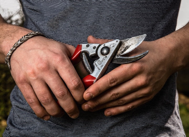 SEKATOR OGRODOWY TELESKOPOWY WYSIĘGNIK PIŁA 2W1 DO GAŁĘZI KRZEWÓW KONARÓW