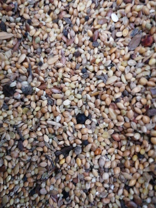 KARMNIKI DLA PTAKÓW PLASTIKOWE KARMNIK WISZĄCY DO KARMY I SŁONECZNIKA