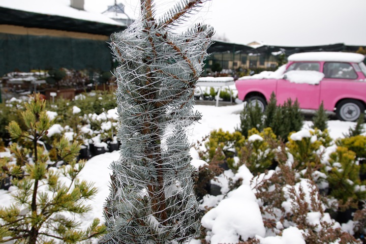 Siatka Do Paletowania Owijania 0,5x500m 3,2g Palet Pakowania Drewna Warzyw