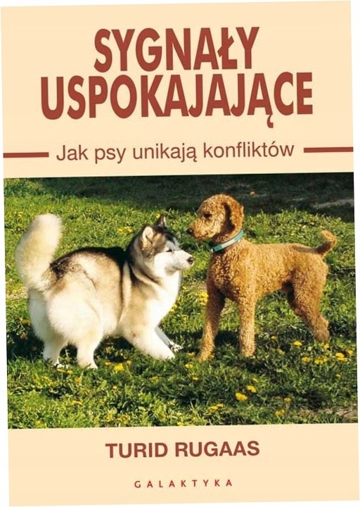 Sygnały uspokajające. Jak psy unikają konfliktów