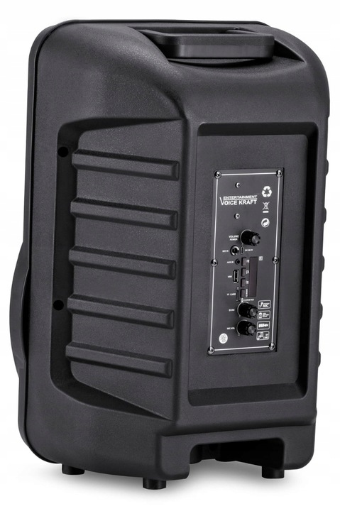 KOLUMNA AKTYWNA GŁOŚNIK BLUETOOTH MIKROFON