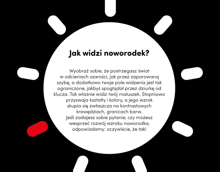 CzuCzu Starter malucha Co widzę 0-3-6 mies.+