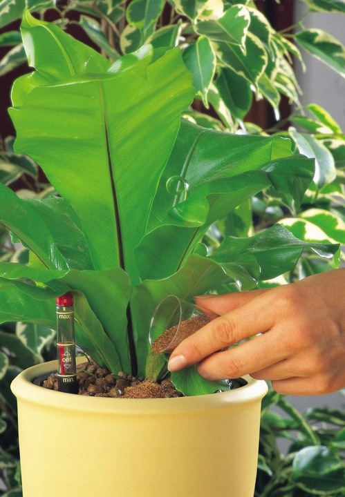 donica w połysku biały połysk ERA 15 zestaw hydro